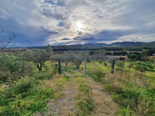 Terreno Agricolo viale Europa Snc, Catanzaro