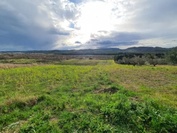 Terreno Agricolo viale Europa Snc, Catanzaro