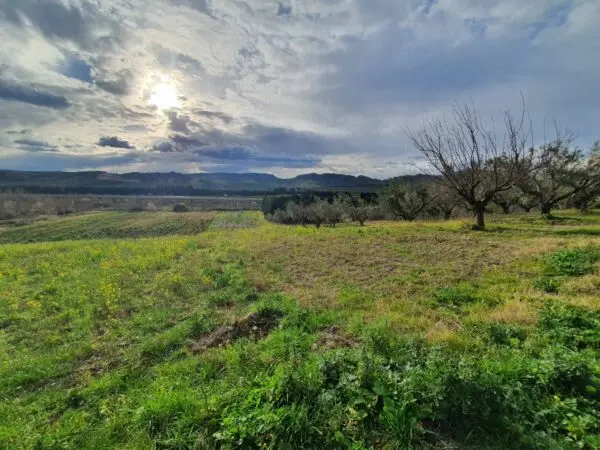 Terreno Agricolo viale Europa Snc, Catanzaro