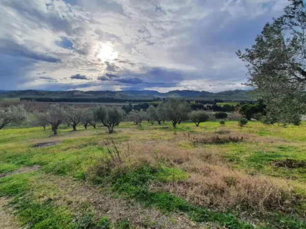 Terreno Agricolo viale Europa Snc, Catanzaro