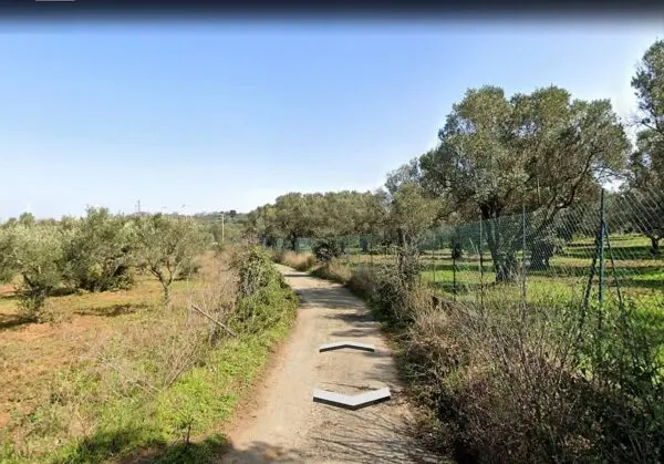 Terreno Agricolo via Contrada Fiego, San Floro