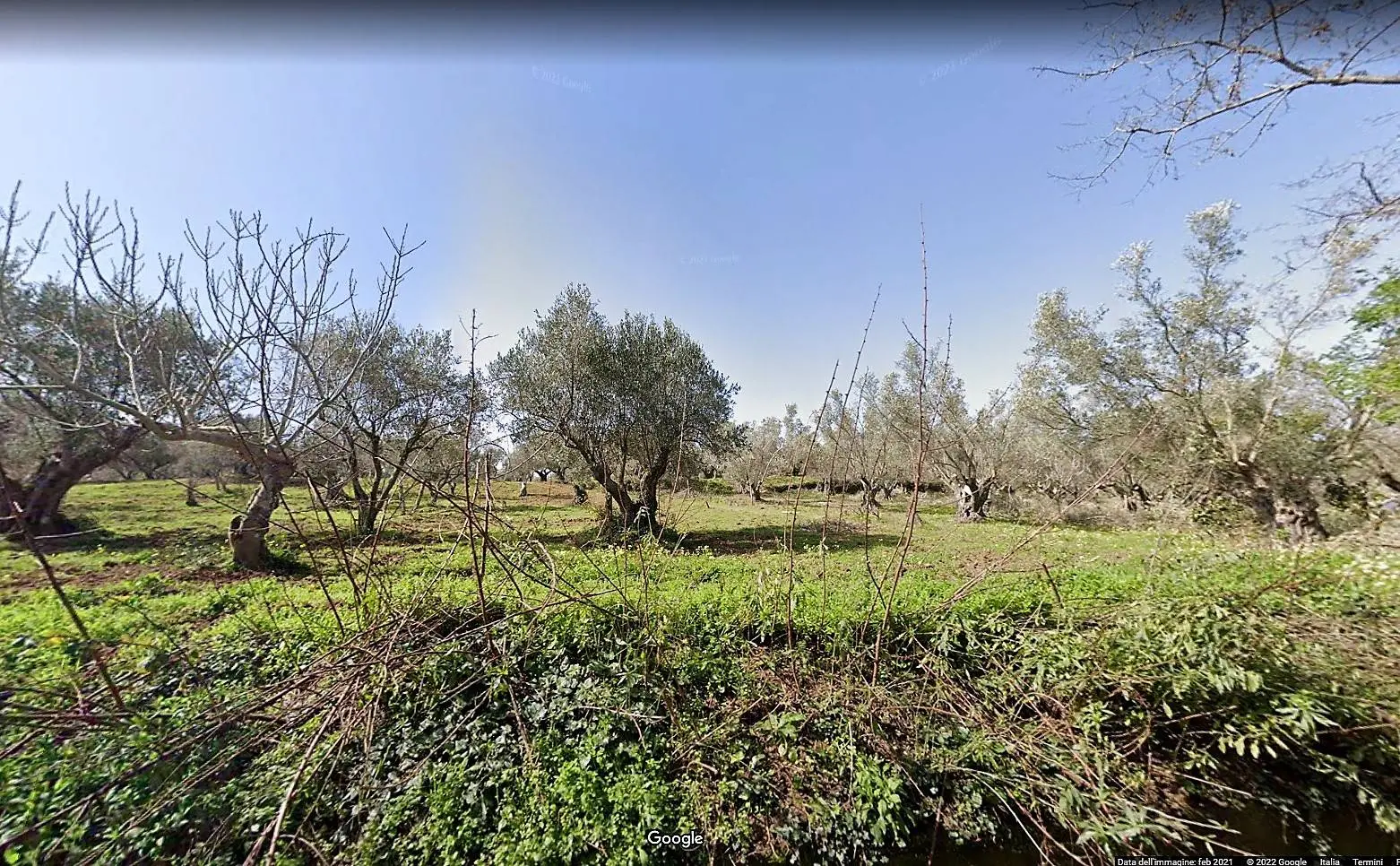 Immagine per Terreno Agricolo in vendita a San Floro Contrada Fiego 