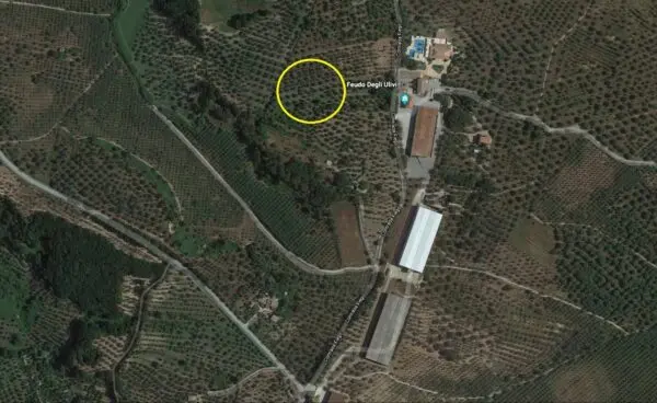 Terreno Agricolo via Contrada Fiego, San Floro