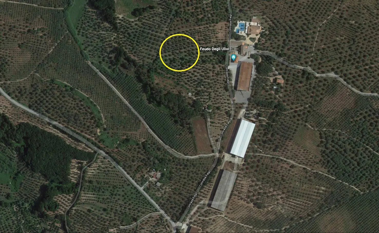 Immagine per Terreno Agricolo in vendita a San Floro Contrada Fiego 