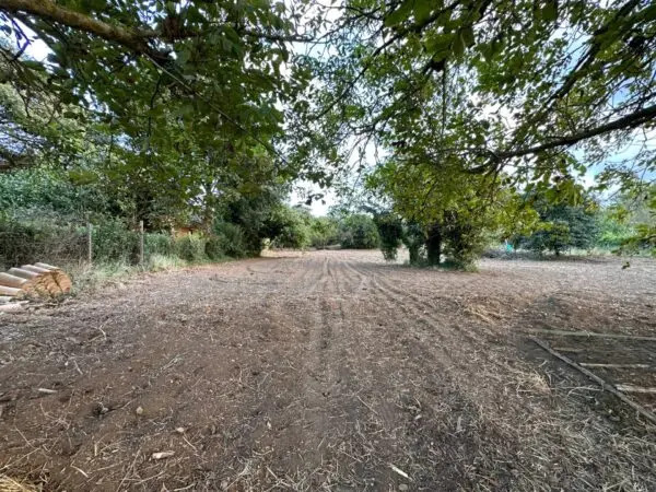 Terreno Agricolo via San Fantino, San Floro