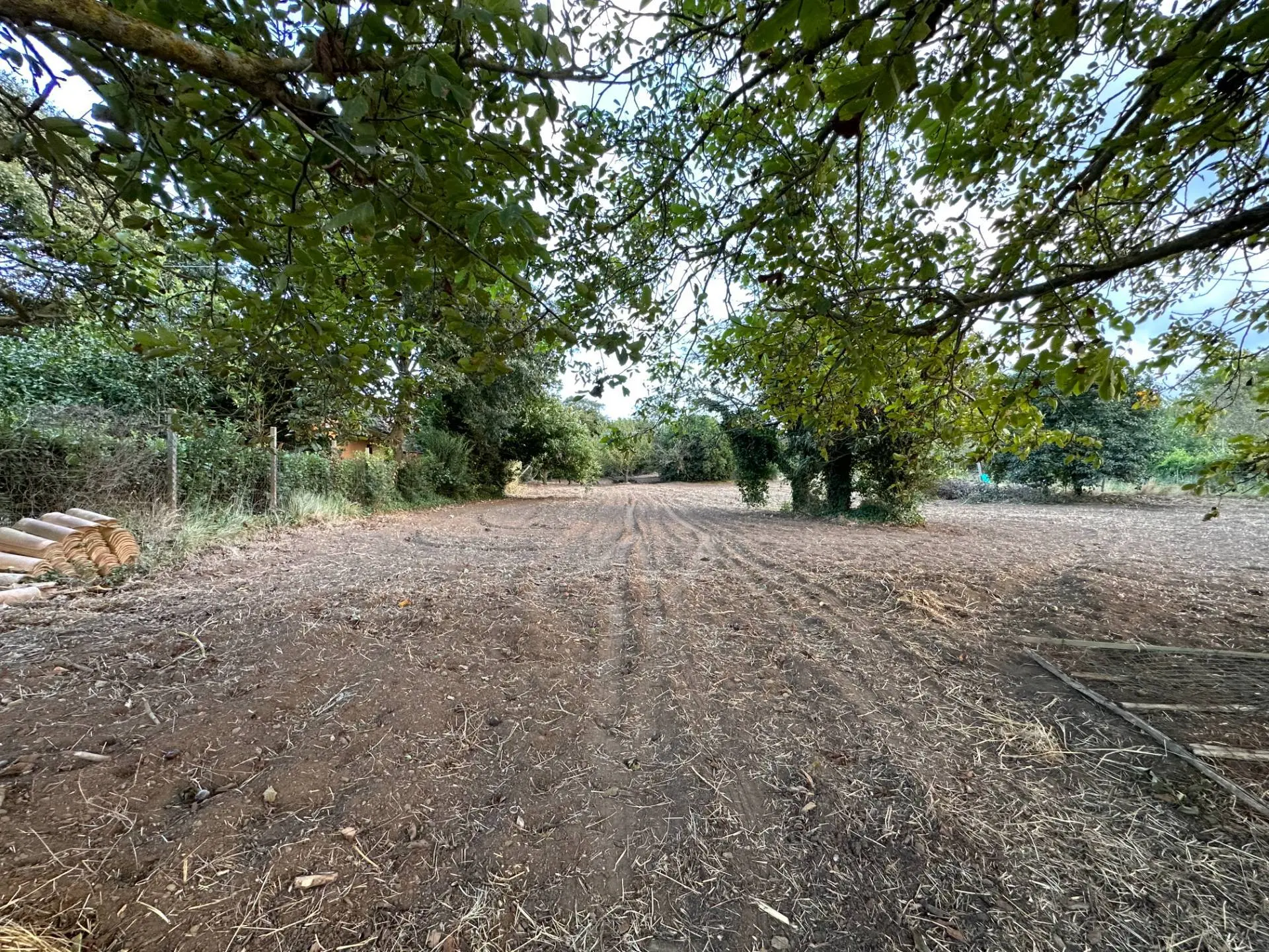 Immagine per Terreno Agricolo in vendita a San Floro via San Fantino 
