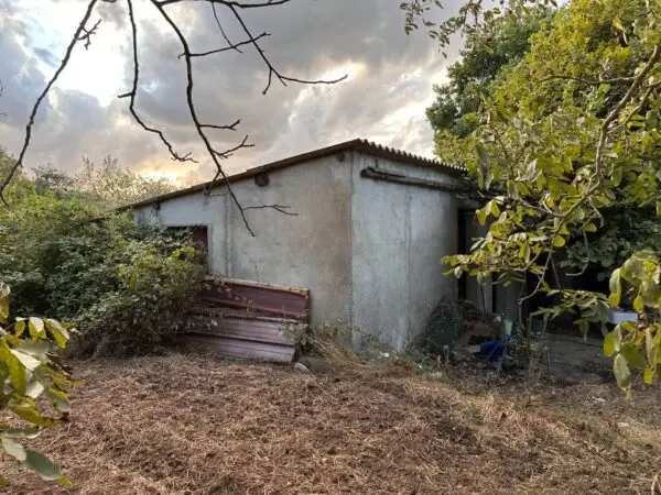 Terreno Agricolo via San Fantino, San Floro