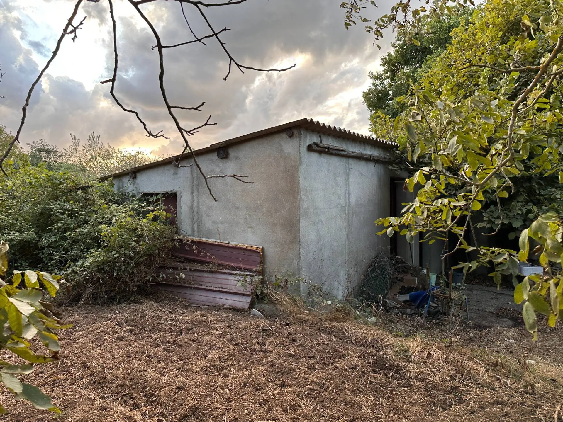 Immagine per Terreno Agricolo in vendita a San Floro via San Fantino 