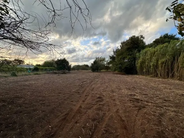 Terreno Agricolo via San Fantino, San Floro