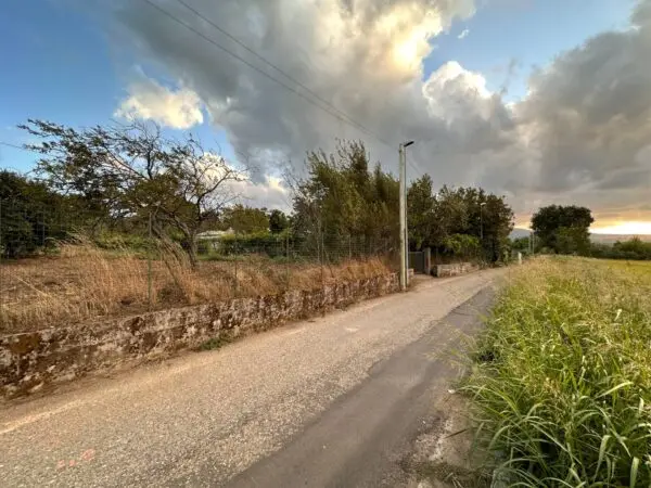 Terreno Agricolo via San Fantino, San Floro