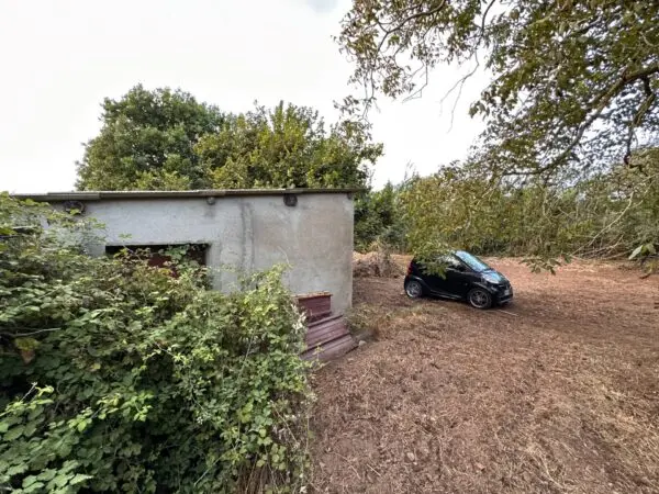 Terreno Agricolo via San Fantino, San Floro