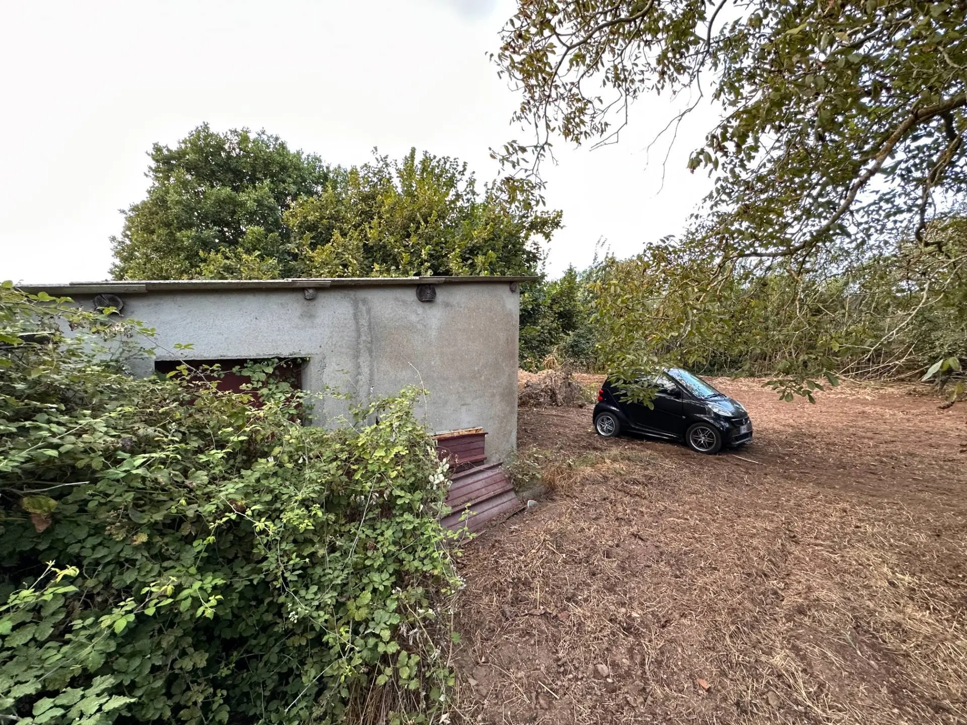 Immagine per Terreno Agricolo in vendita a San Floro via San Fantino 