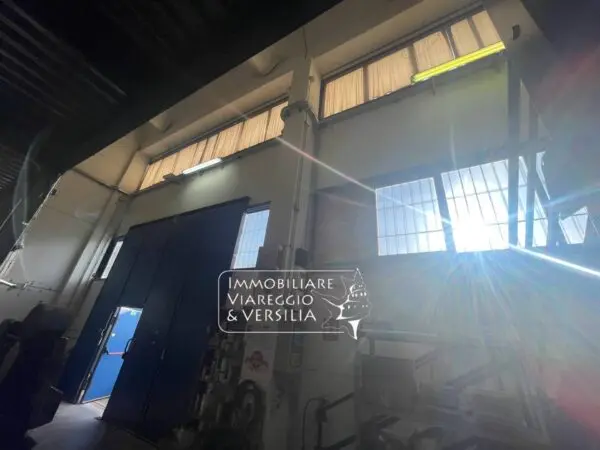 Laboratorio via Libeccio 100, Viareggio