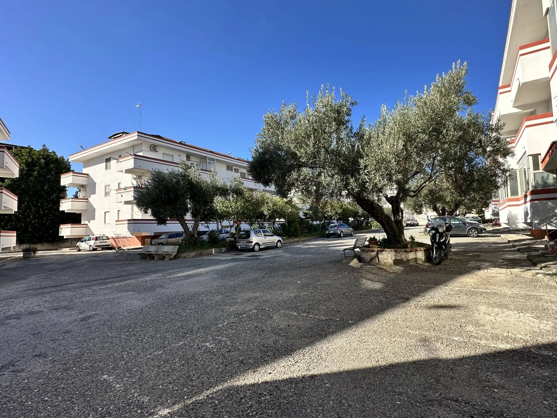 Immagine per Appartamento in vendita a Catanzaro via Martiri di Cefalonia 2