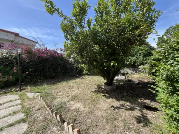 Appartamento viale San Francesco Da Paola 1, Zagarise