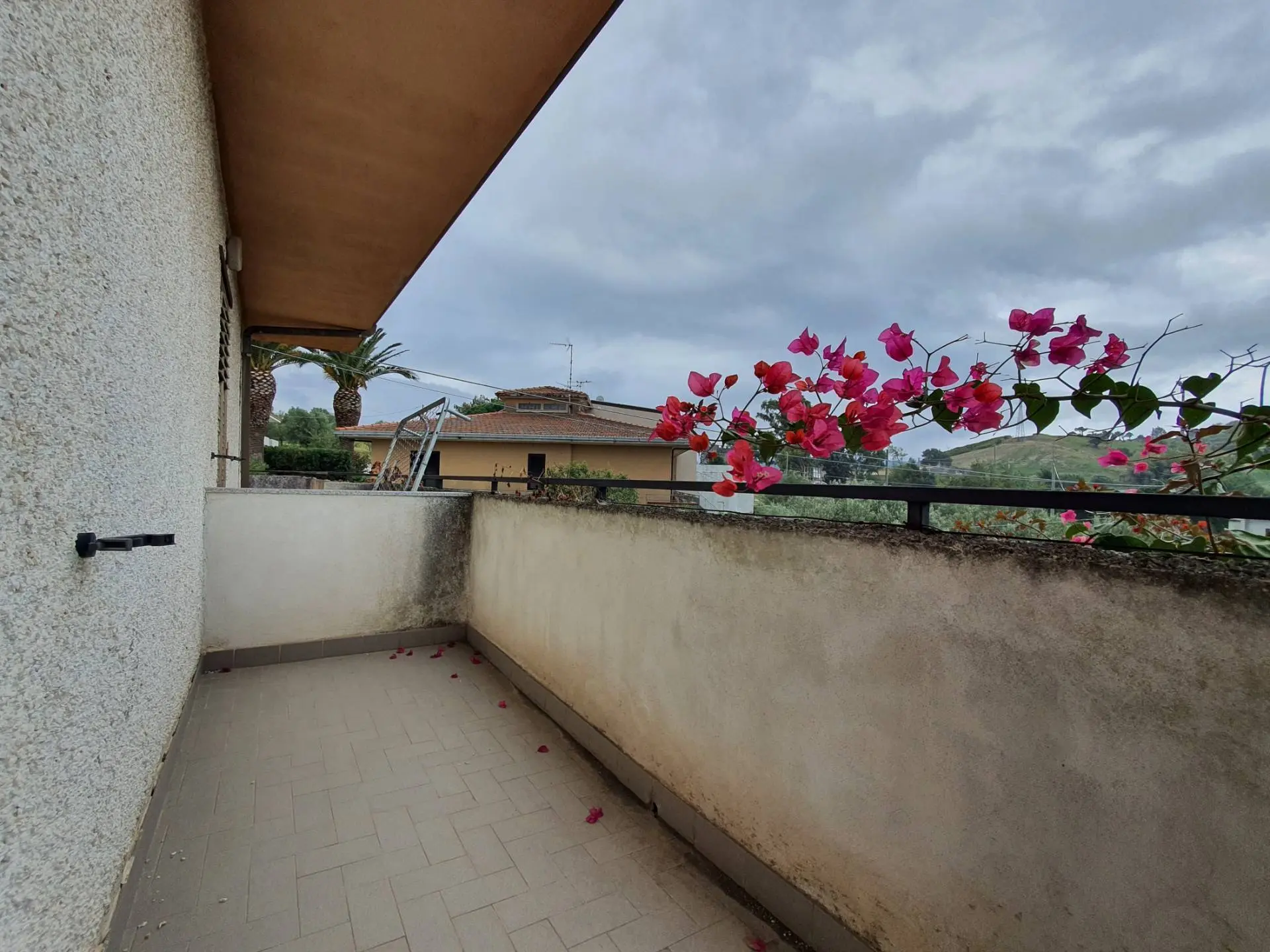 Immagine per Villetta a schiera in vendita a Marcellinara Strada Provinciale 168 