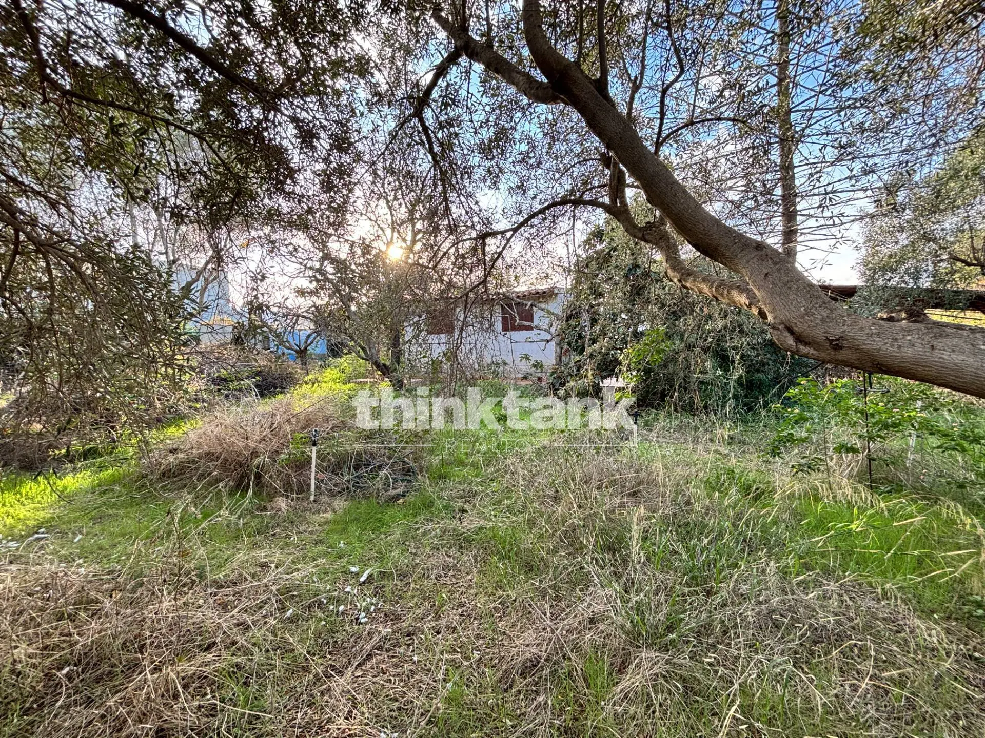 Immagine per Terreno Edificabile in vendita a Siracusa Via Gaetano Gubernale 