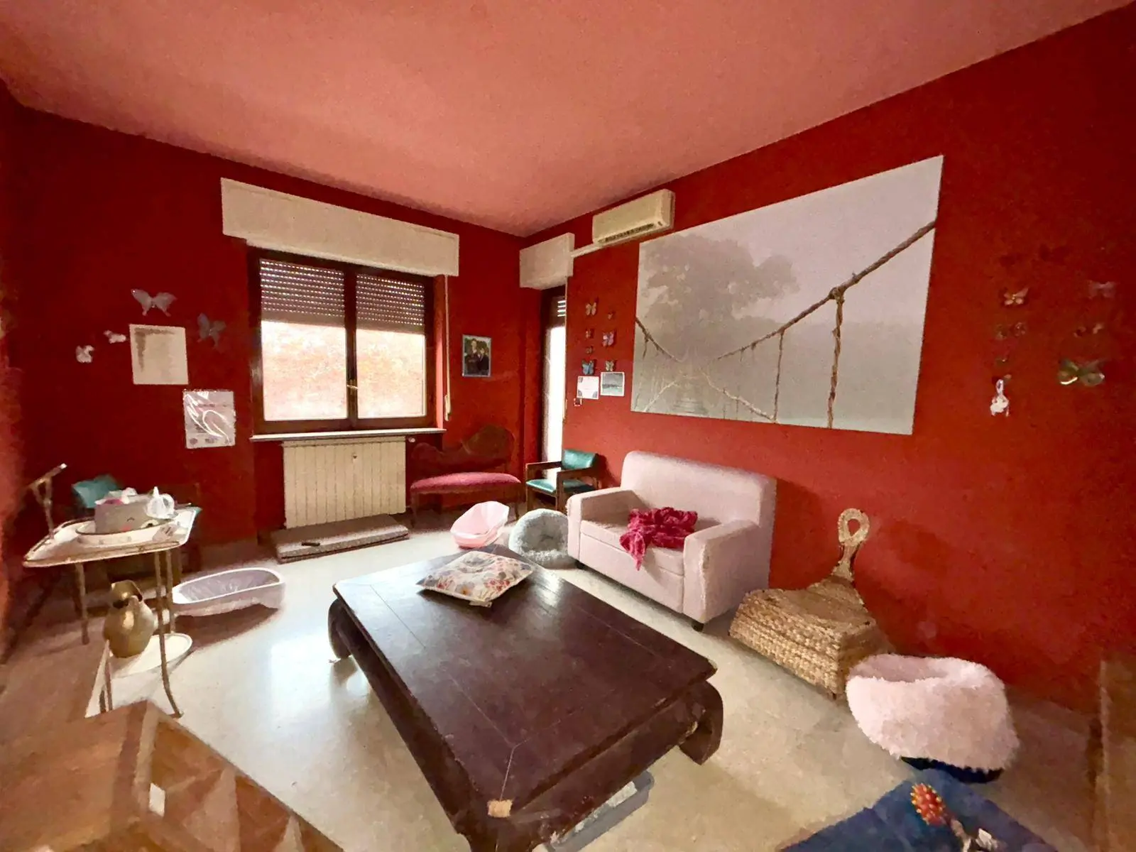 Immagine per Appartamento in vendita a Alessandria  