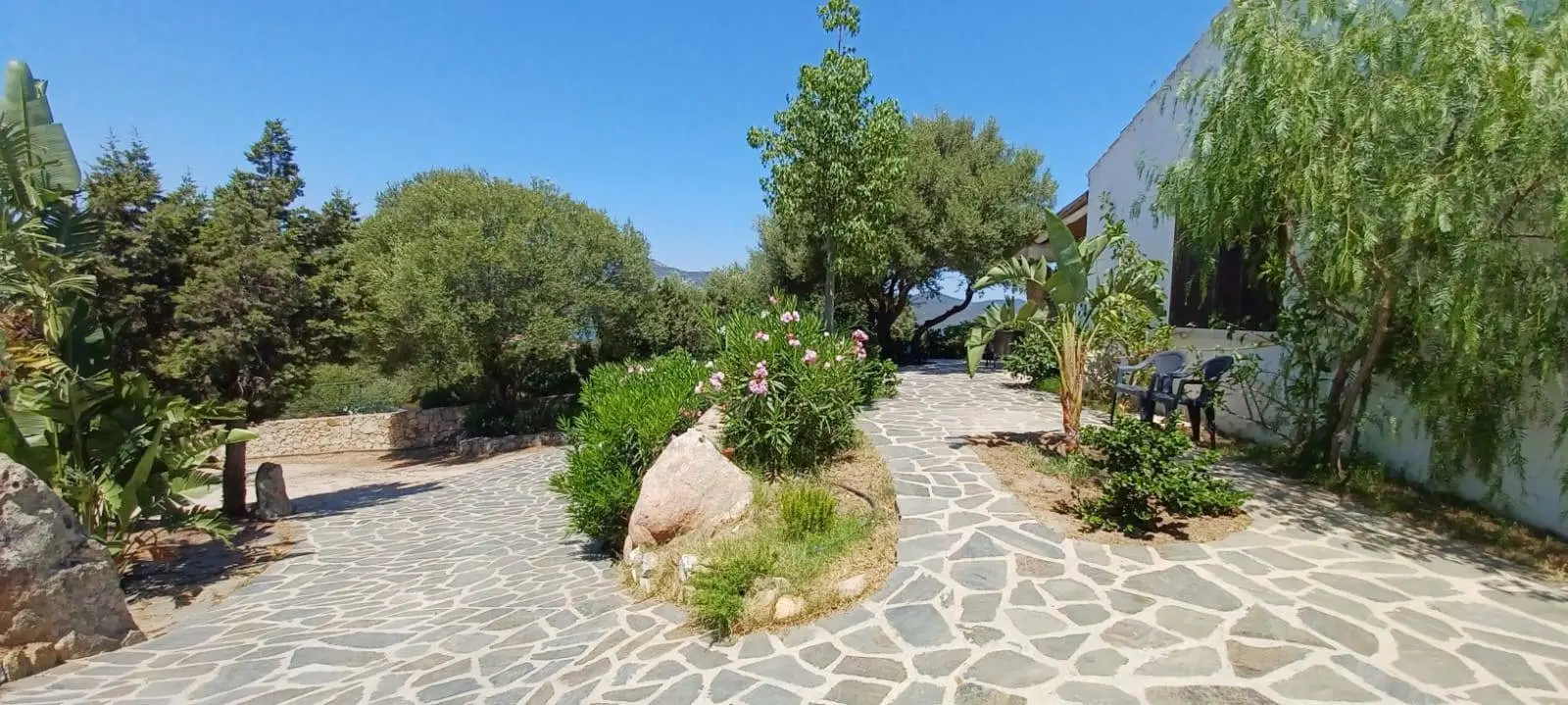Immagine per Villa in vendita a Olbia via Monte Ladu 34/b