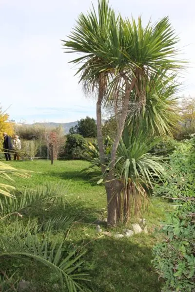 Villa via Amedeo Modigliani 12, Rende