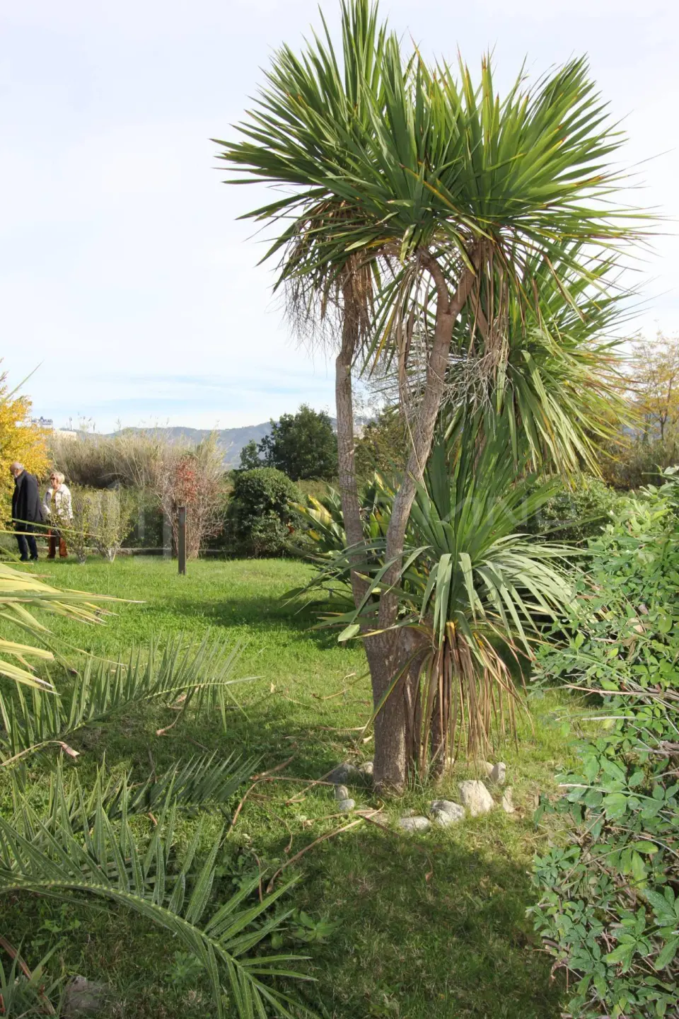 Immagine per Villa in vendita a Rende VIA AMEDEO MODIGLIANI 12