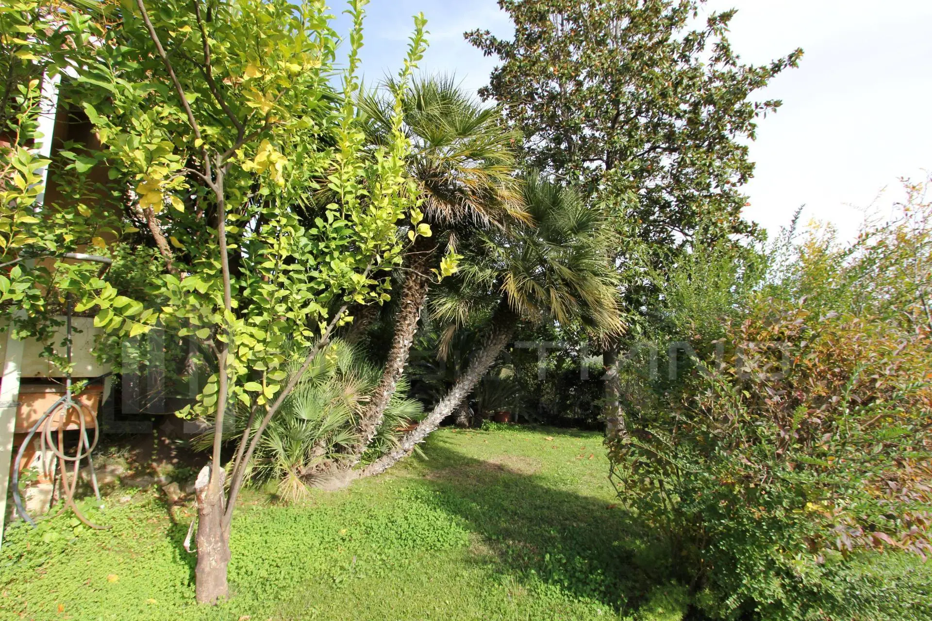 Immagine per Villa in vendita a Rende VIA AMEDEO MODIGLIANI 12