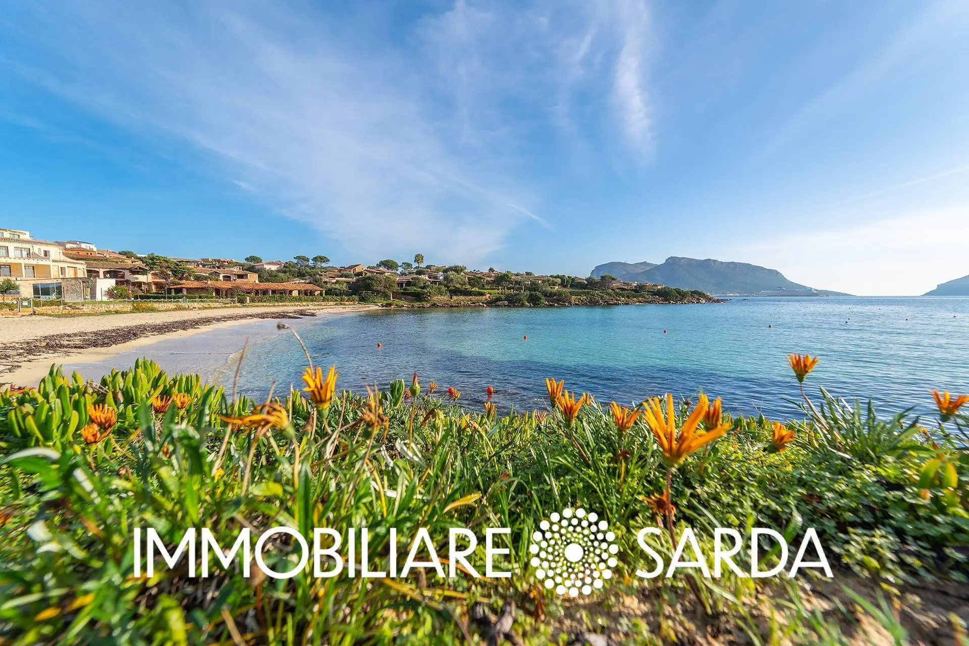 Immagine per Villa in vendita a Padru Viale Concas Caddinas 