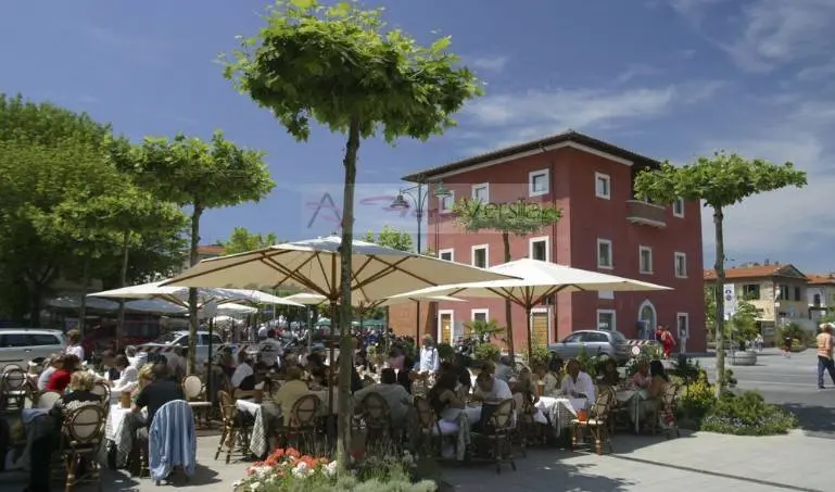 Immagine per Villa in vendita a Pietrasanta  