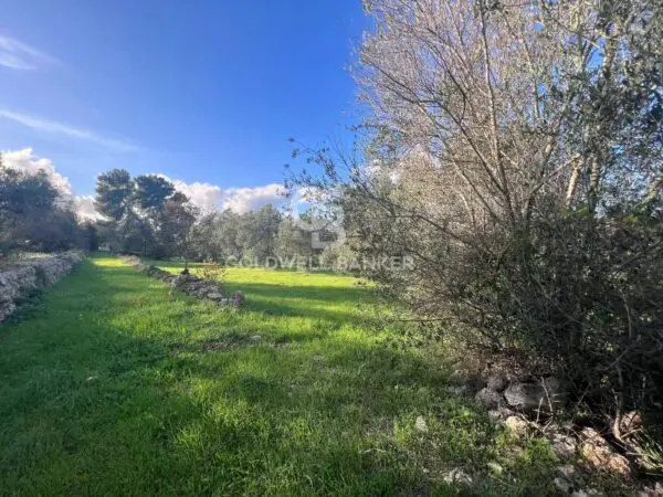 Terreno Agricolo via Contrada Boccadoro, Ostuni