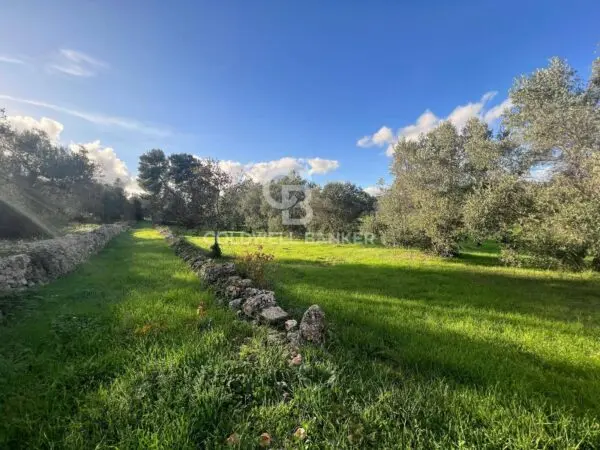 Terreno Agricolo via Contrada Boccadoro, Ostuni