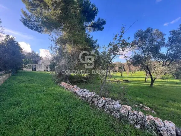 Terreno Agricolo via Contrada Boccadoro, Ostuni