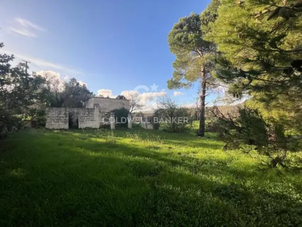 Terreno Agricolo via Contrada Boccadoro, Ostuni