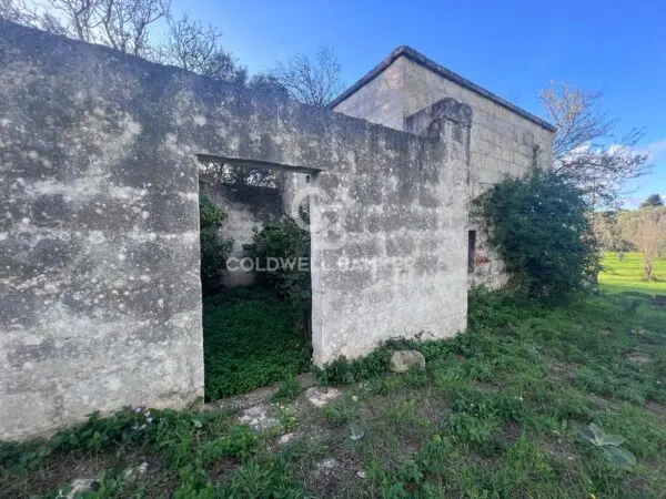 Terreno Agricolo via Contrada Boccadoro, Ostuni