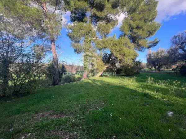 Terreno Agricolo via Contrada Boccadoro, Ostuni