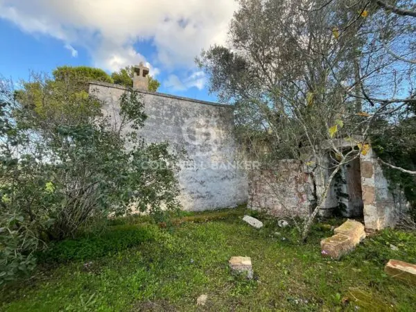 Terreno Agricolo via Contrada Boccadoro, Ostuni