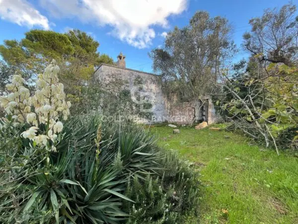 Terreno Agricolo via Contrada Boccadoro, Ostuni