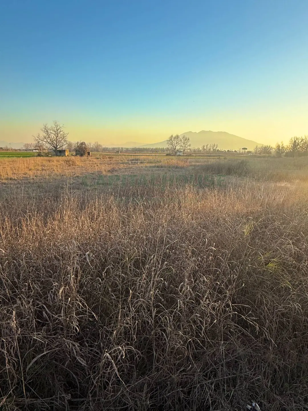 Immagine per Terreno Agricolo in vendita a Marigliano via Vecchia del Bosco 