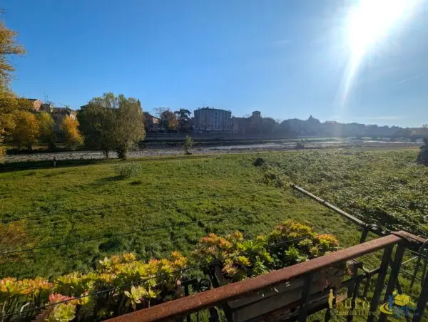 Trilocale via Bixio 40, Parma
