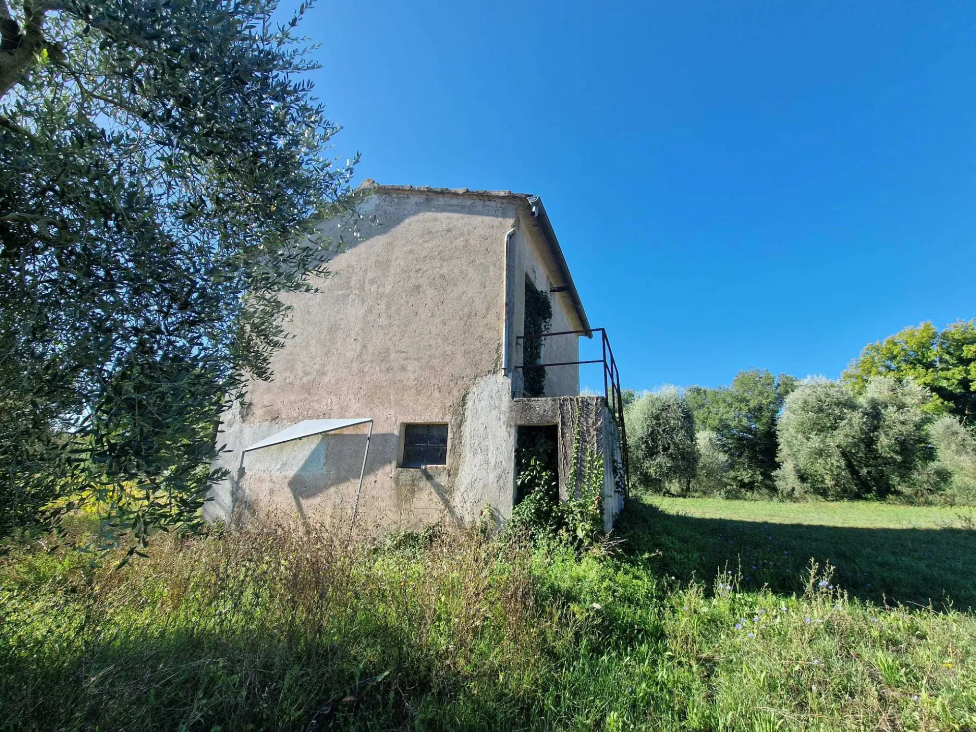 Immagine per Rustico in vendita a Montecastrilli via Vocabolo Molino