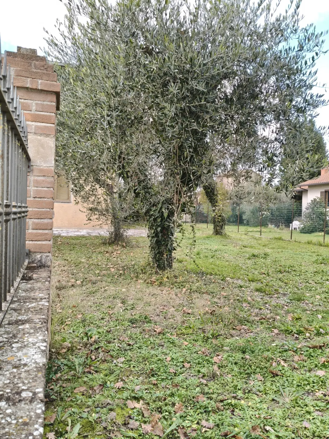 Immagine per Villa trifamiliare in vendita a Avigliano Umbro 88