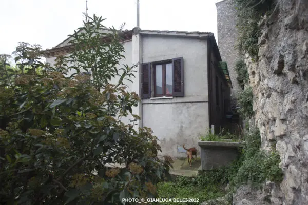 Terratetto viale Della Rimembranza 4, Lugnano In Teverina