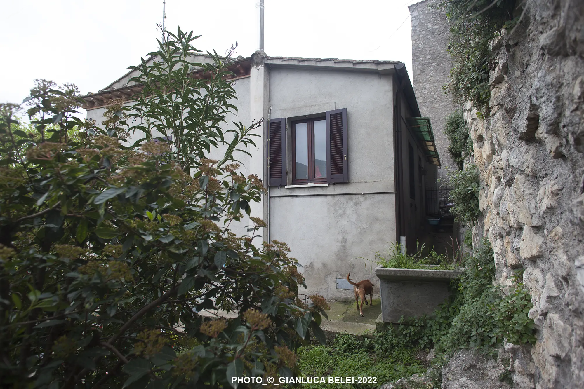 Immagine per Terratetto in vendita a Lugnano in Teverina viale Della Rimembranza 4