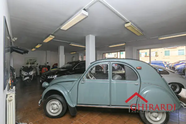 Show Room 5, Prà, Genova