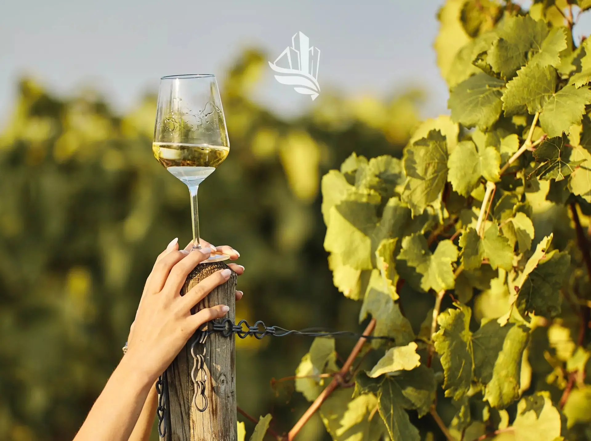Immagine per Terreno agricolo in vendita a Caldaro sulla strada del vino