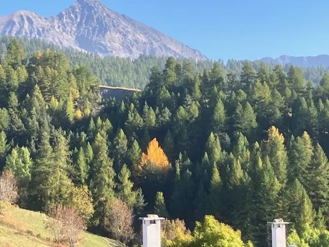 Immagine per Appartamento in affitto a Cesana Torinese Frazione Sansicario