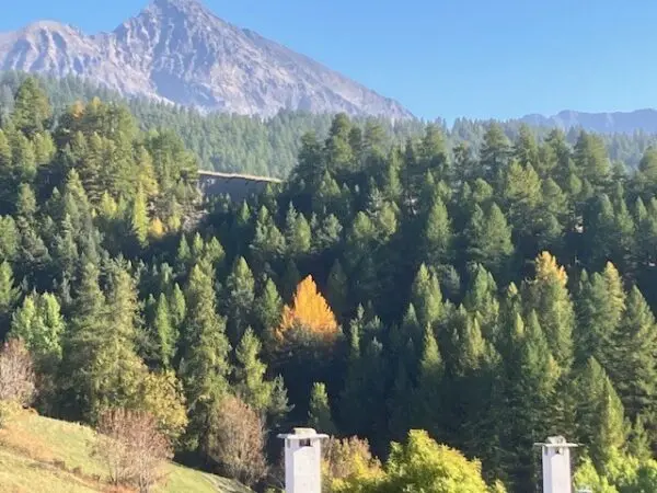 Appartamento via Frazione Sansicario, Cesana Torinese