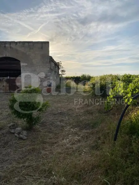 Rustico via Contrada Pozzelle, Barletta