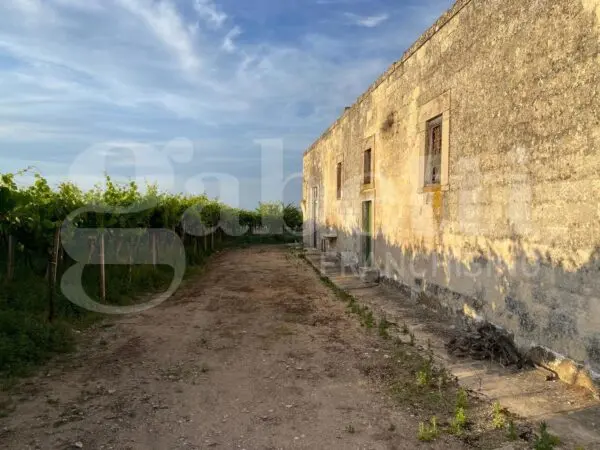 Rustico via Contrada Pozzelle, Barletta