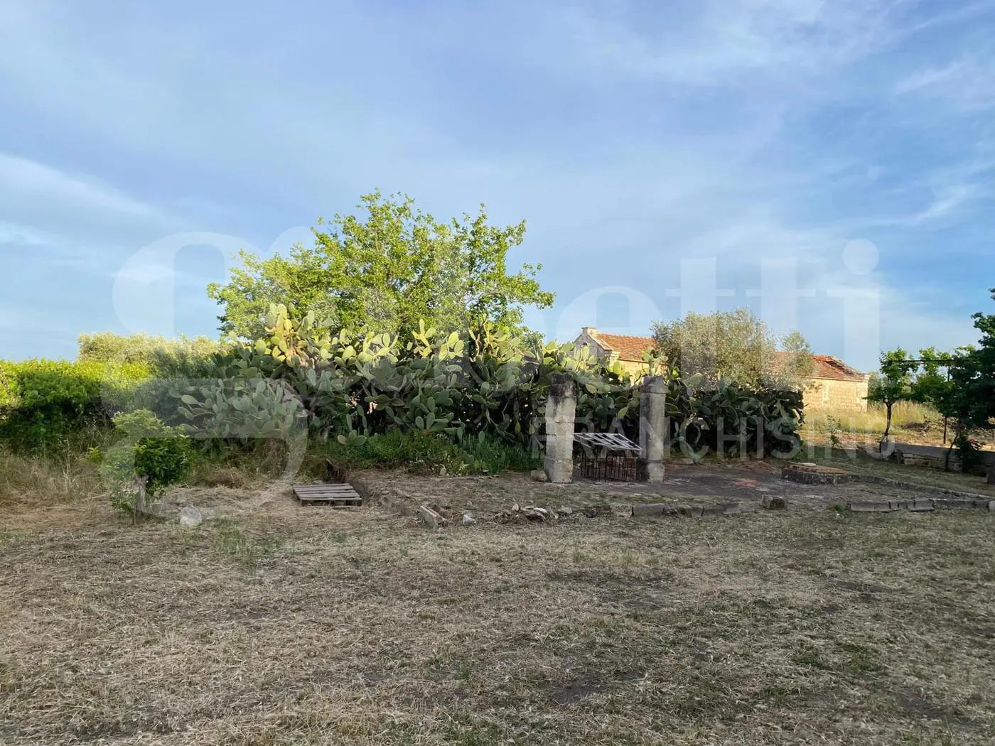 Immagine per Rustico in vendita a Canosa di Puglia via Contrada Pozzelle