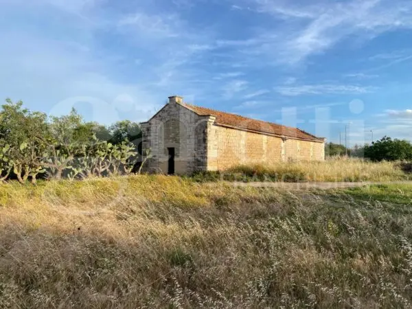 Rustico via Contrada Pozzelle, Barletta